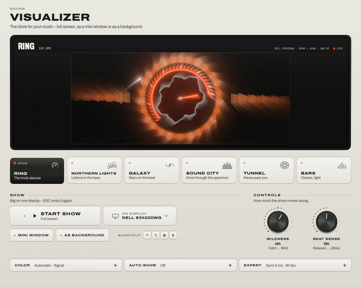 The Visualizer: the Ring look in the preview, the six looks, and the show and control settings.