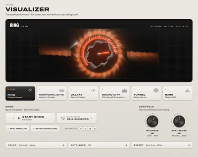 The Visualizer: the Ring look in the preview, the six looks, and the show and control settings.